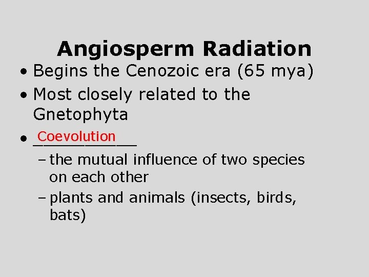 Angiosperm Radiation • Begins the Cenozoic era (65 mya) • Most closely related to