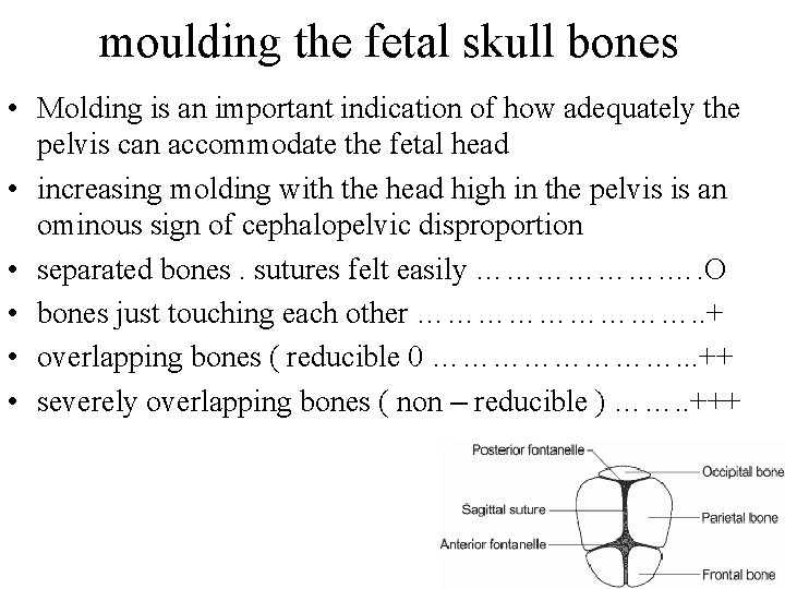 moulding the fetal skull bones • Molding is an important indication of how adequately