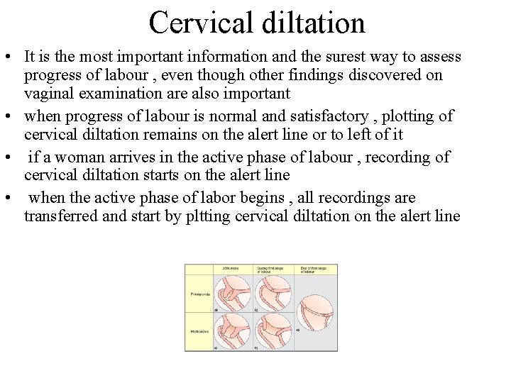 Cervical diltation • It is the most important information and the surest way to