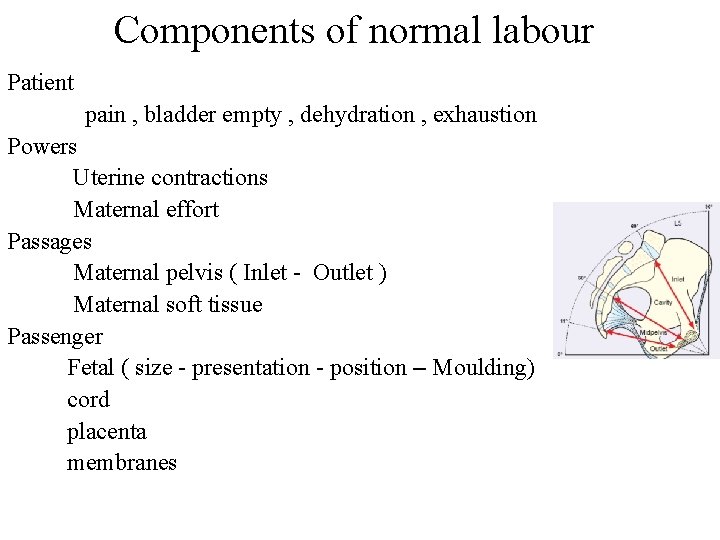 Components of normal labour Patient pain , bladder empty , dehydration , exhaustion Powers