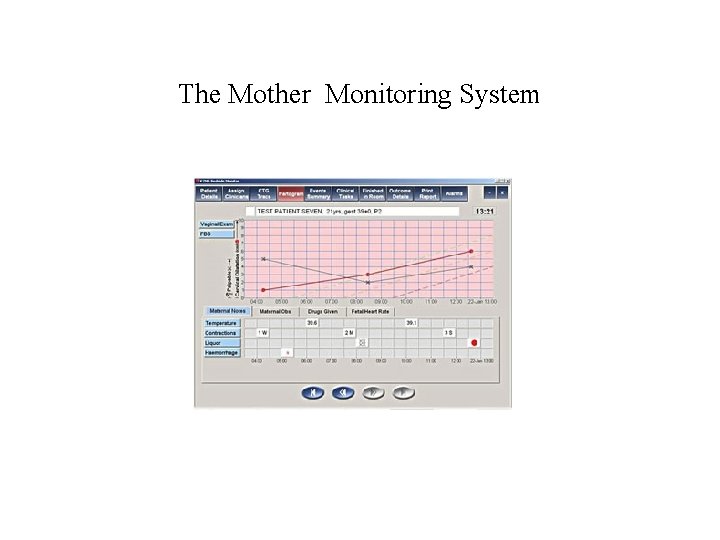The Mother Monitoring System 