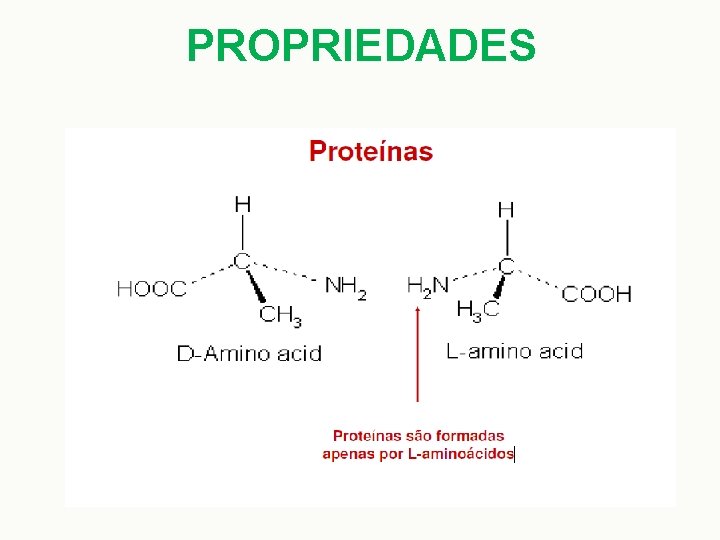 PROPRIEDADES 