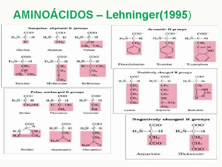 AMINOÁCIDOS – Lehninger(1995) 
