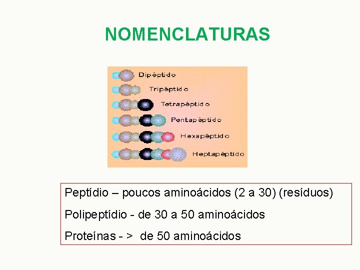 NOMENCLATURAS Peptídio – poucos aminoácidos (2 a 30) (resíduos) Polipeptídio - de 30 a