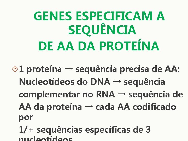 GENES ESPECIFICAM A SEQUÊNCIA DE AA DA PROTEÍNA 1 proteína → sequência precisa de