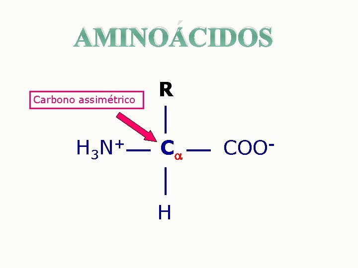 AMINOÁCIDOS Carbono assimétrico H 3 N+ R C H COO- 