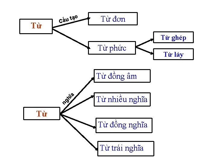 ạo Từ t Cấu Từ đơn Từ ghép Từ phức ng hĩ a Từ ạo Từ t Cấu Từ đơn Từ ghép Từ phức ng hĩ a Từ