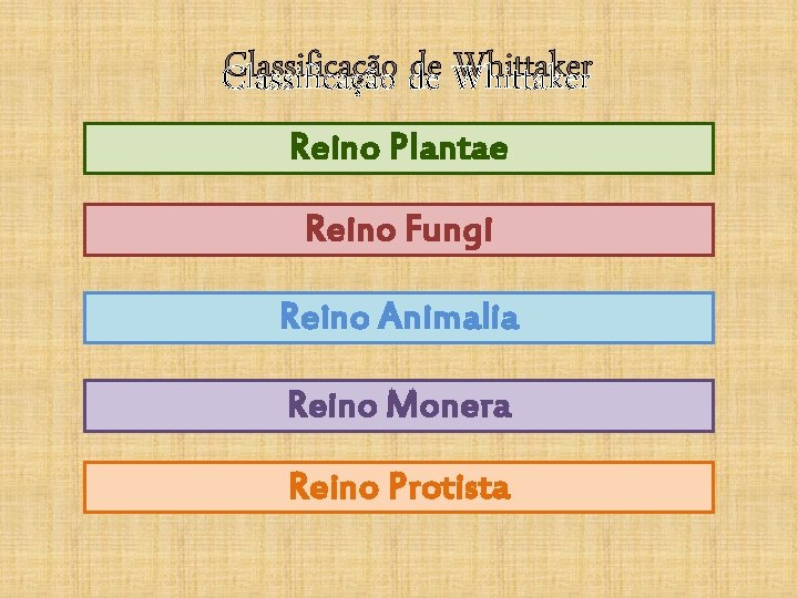 Classificação de Whittaker Reino Plantae Reino Fungi Reino Animalia Reino Monera Reino Protista 