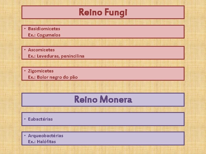 Reino Fungi • Basidiomicetes Ex. : Cogumelos • Ascomicetes Ex. : Leveduras, penincilina •