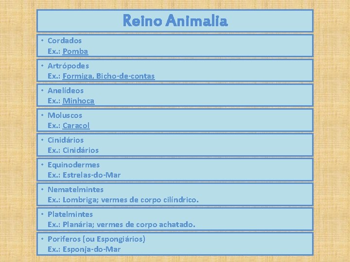 Reino Animalia • Cordados Ex. : Pomba • Artrópodes Ex. : Formiga, Bicho-de-contas •