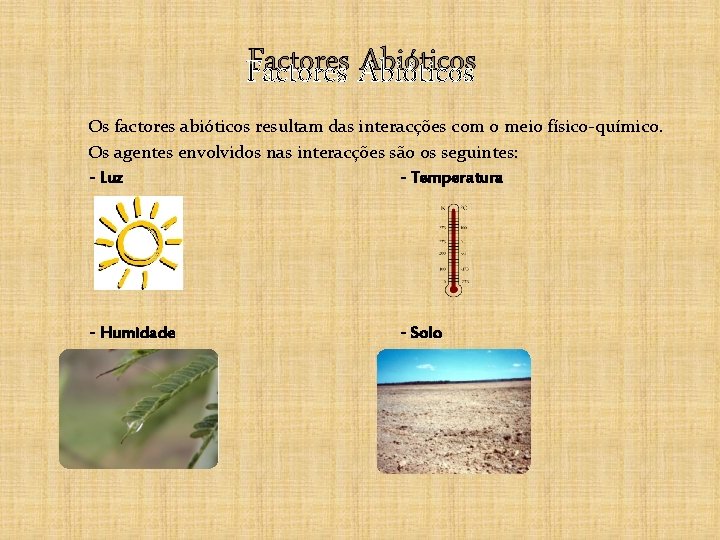 Factores Abióticos Os factores abióticos resultam das interacções com o meio físico-químico. Os agentes