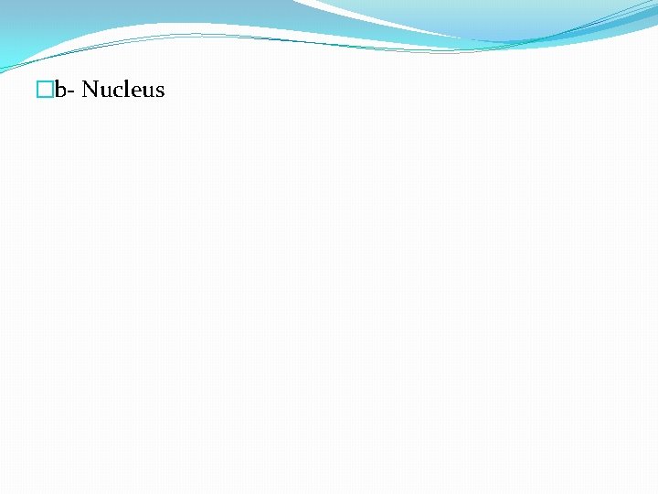�b- Nucleus 