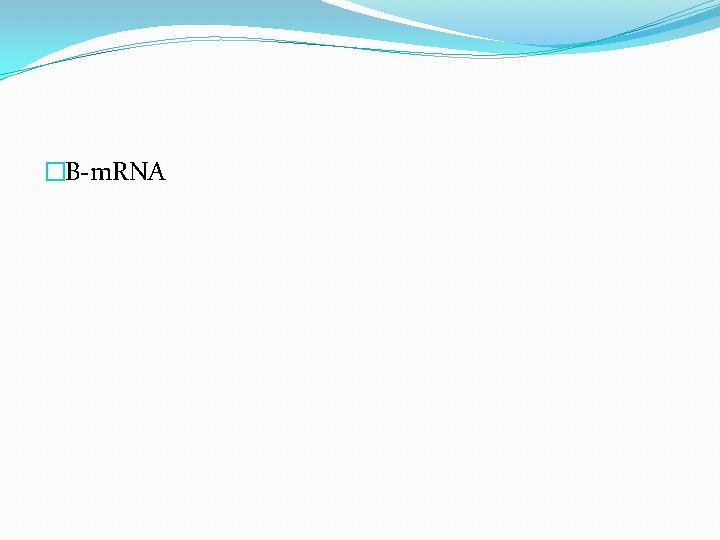�B-m. RNA 