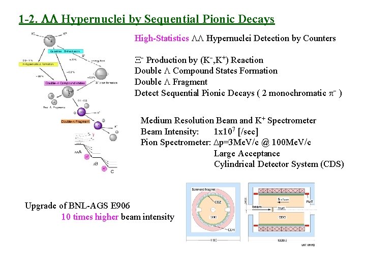 1 -2. LL Hypernuclei by Sequential Pionic Decays High-Statistics LL Hypernuclei Detection by Counters