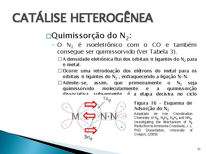 CATÁLISE HETEROGÊNEA � Quimissorção do N 2: ◦ O N 2 é isoeletrônico com