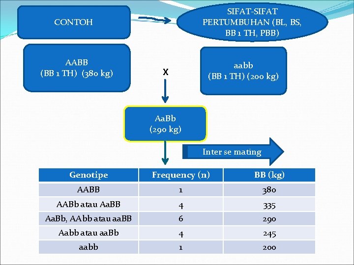 SIFAT-SIFAT PERTUMBUHAN (BL, BS, BB 1 TH, PBB) CONTOH AABB (BB 1 TH) (380