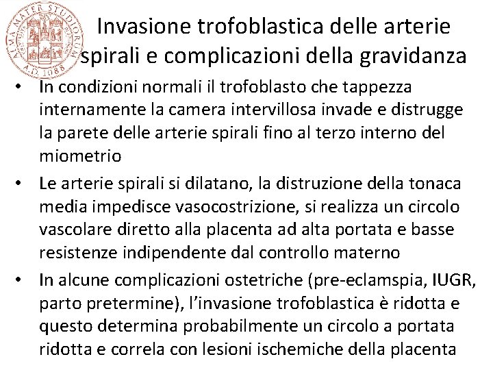 Invasione trofoblastica delle arterie spirali e complicazioni della gravidanza • In condizioni normali il