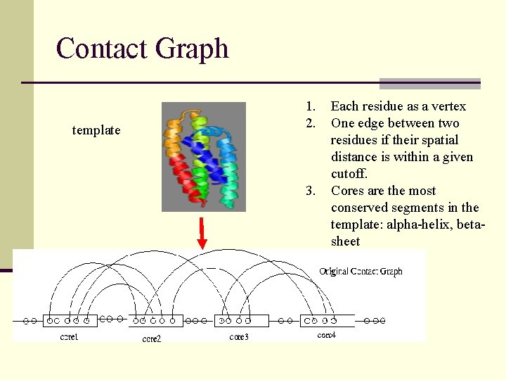 Contact Graph template 1. 2. 3. Each residue as a vertex One edge between