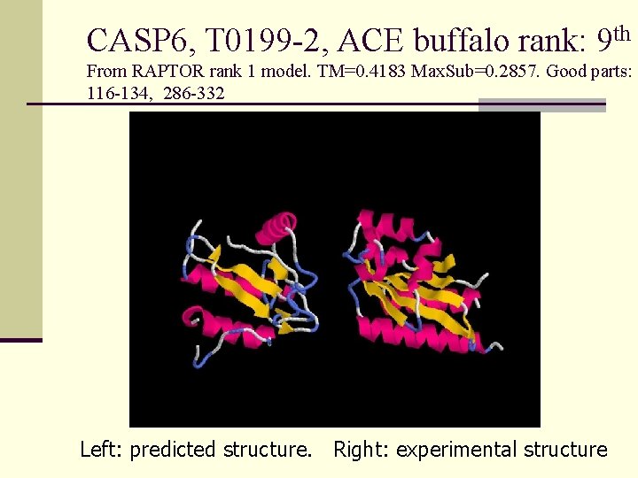 CASP 6, T 0199 -2, ACE buffalo rank: 9 th From RAPTOR rank 1