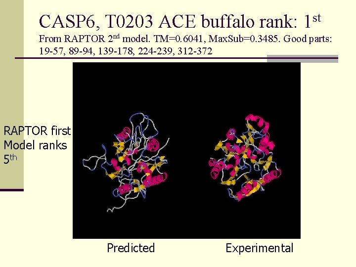 CASP 6, T 0203 ACE buffalo rank: 1 st From RAPTOR 2 nd model.