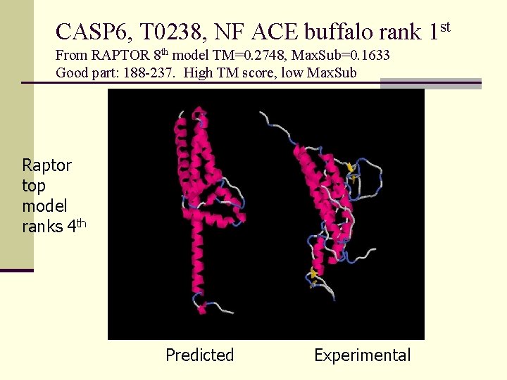 CASP 6, T 0238, NF ACE buffalo rank 1 st From RAPTOR 8 th