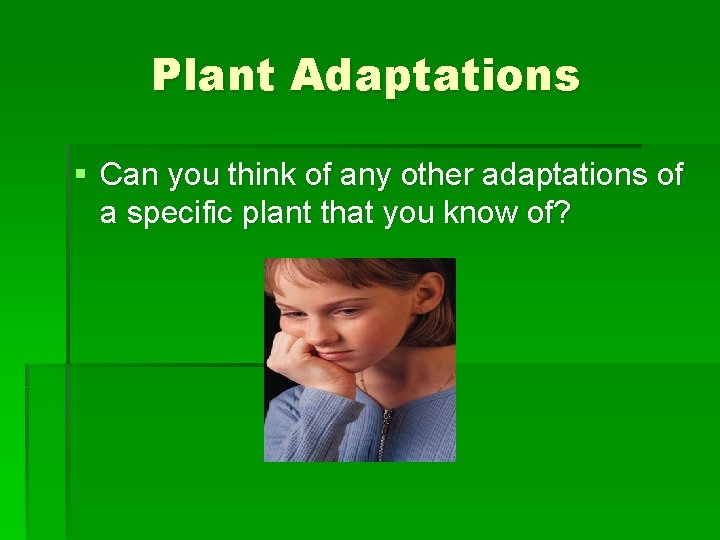 Plant Adaptations § Can you think of any other adaptations of a specific plant Plant Adaptations § Can you think of any other adaptations of a specific plant