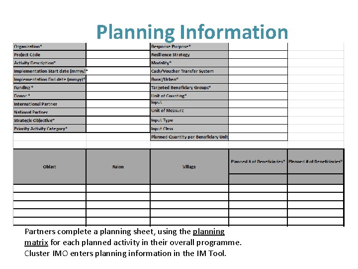 Planning Information Partners complete a planning sheet, using the planning matrix for each planned