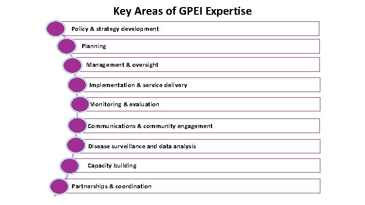 Key Areas of GPEI Expertise Policy & strategy development Planning Management & oversight Implementation