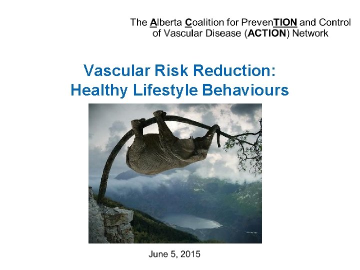 Vascular Risk Reduction: Healthy Lifestyle Behaviours 
