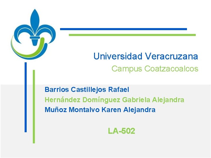 Universidad Veracruzana Campus Coatzacoalcos Barrios Castillejos Rafael Hernández Domínguez Gabriela Alejandra Muñoz Montalvo Karen