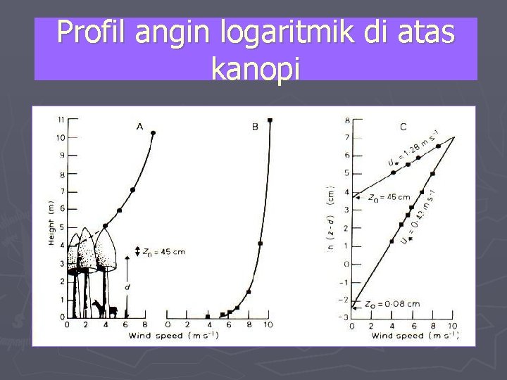 Profil angin logaritmik di atas kanopi 