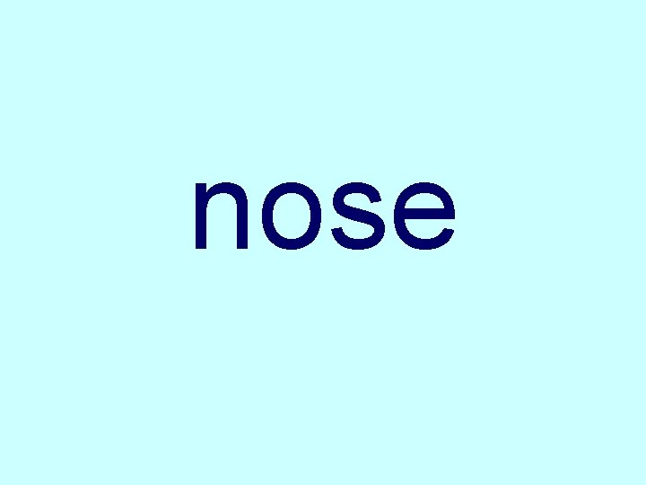 nose 