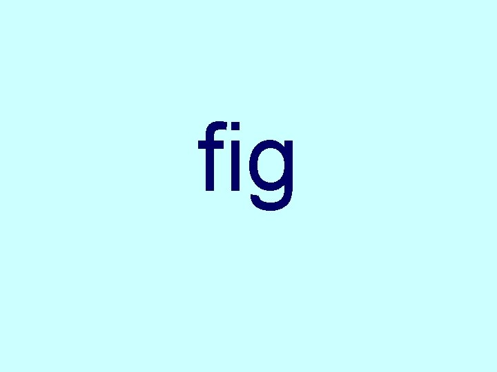 fig 