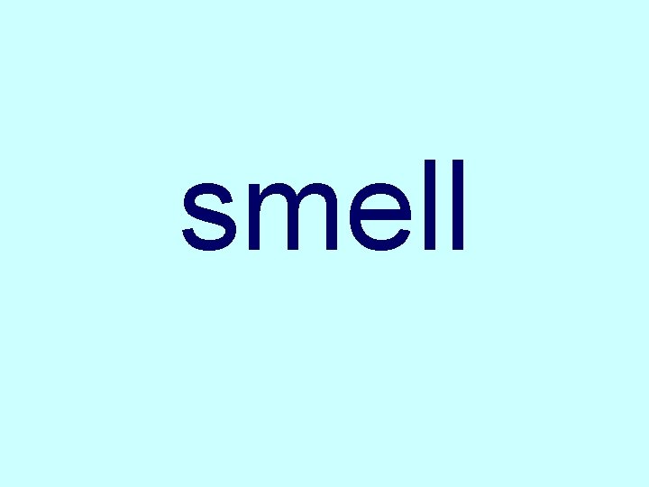 smell 