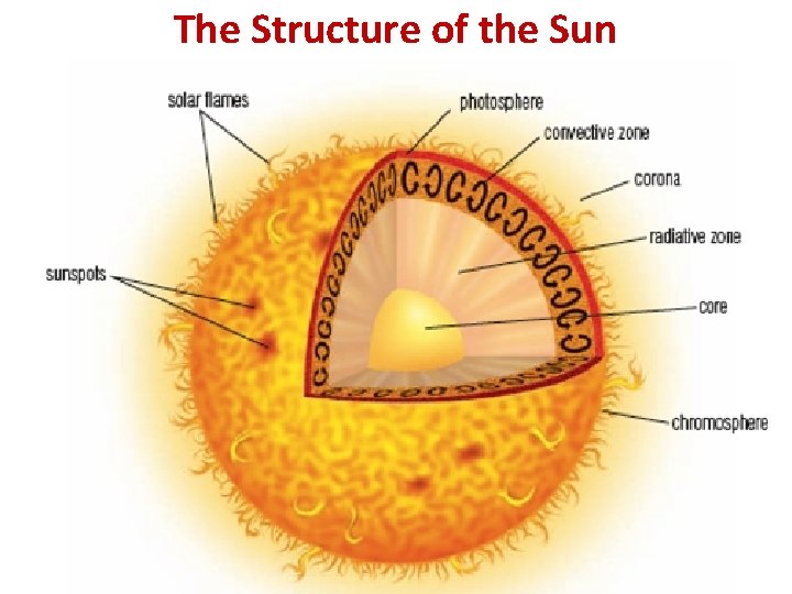 The Structure of the Sun 