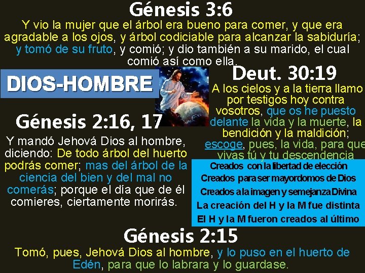 Génesis 3: 6 Y vio la mujer que el árbol era bueno para comer,