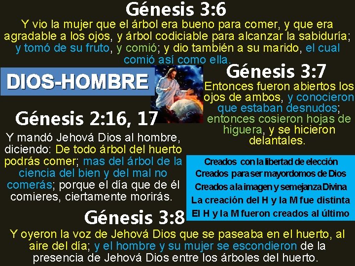 Génesis 3: 6 Y vio la mujer que el árbol era bueno para comer,