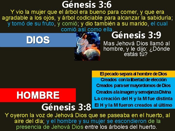 Génesis 3: 6 Y vio la mujer que el árbol era bueno para comer,