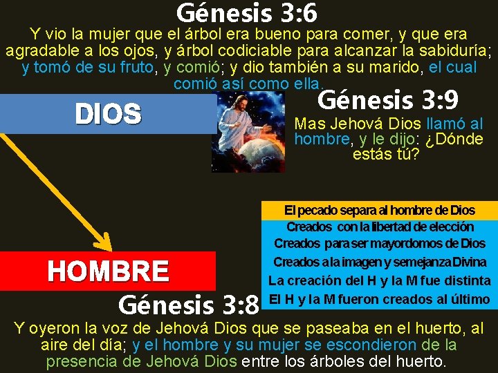 Génesis 3: 6 Y vio la mujer que el árbol era bueno para comer,