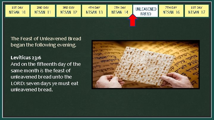 The Feast of Unleavened Bread began the following evening. Leviticus 23: 6 And on