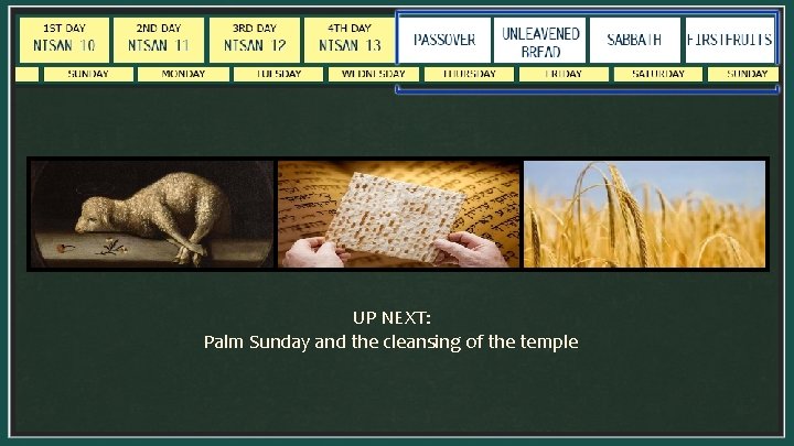 UP NEXT: Palm Sunday and the cleansing of the temple 