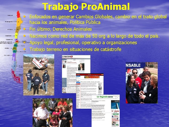 Trabajo Pro. Animal • Enfocados en generar Cambios Globales, cambio en el trato global