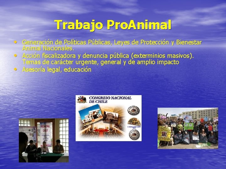 Trabajo Pro. Animal • Generación de Políticas Públicas, Leyes de Protección y Bienestar •