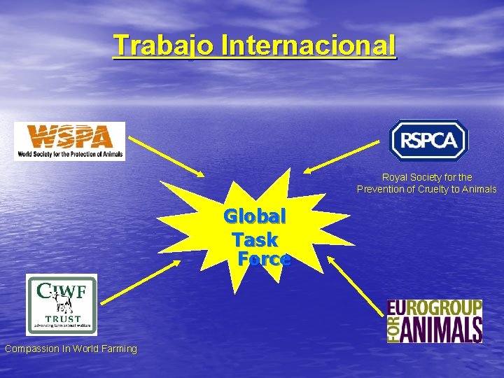 Trabajo Internacional Royal Society for the Prevention of Cruelty to Animals Global Task Force