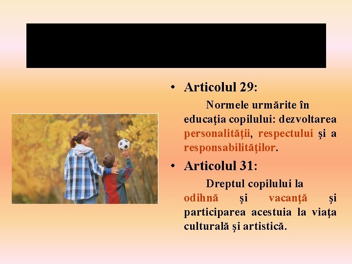  • Articolul 29: Normele urmărite în educaţia copilului: dezvoltarea personalităţii, respectului şi a