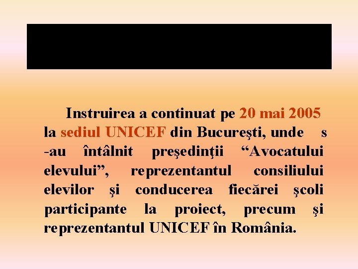 Instruirea a continuat pe 20 mai 2005 la sediul UNICEF din Bucureşti, unde s