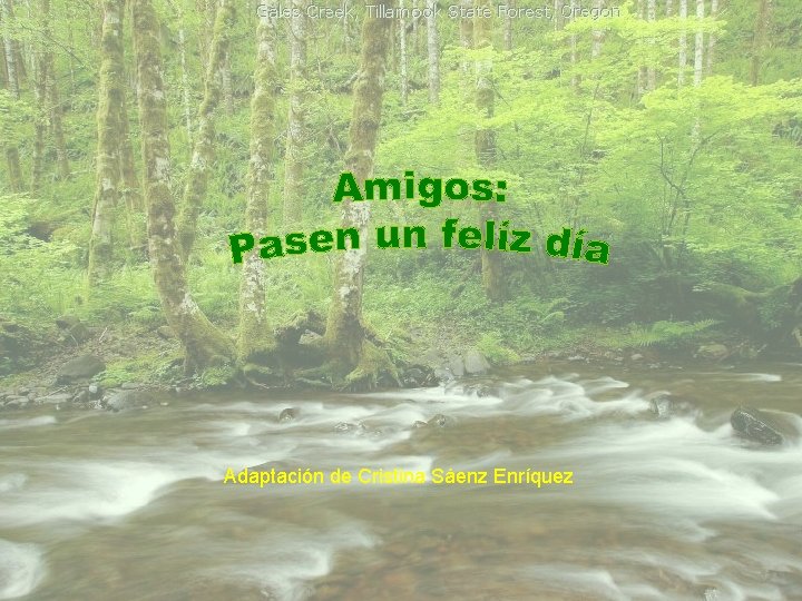 Adaptación de Cristina Sáenz Enríquez 