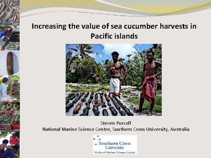 Increasing the value of sea cucumber harvests in Pacific islands Steven Purcell National Marine