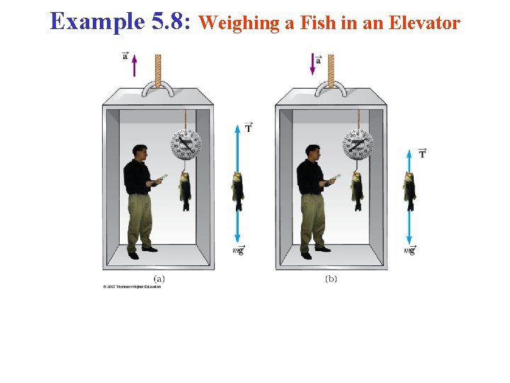 Example 5. 8: Weighing a Fish in an Elevator 