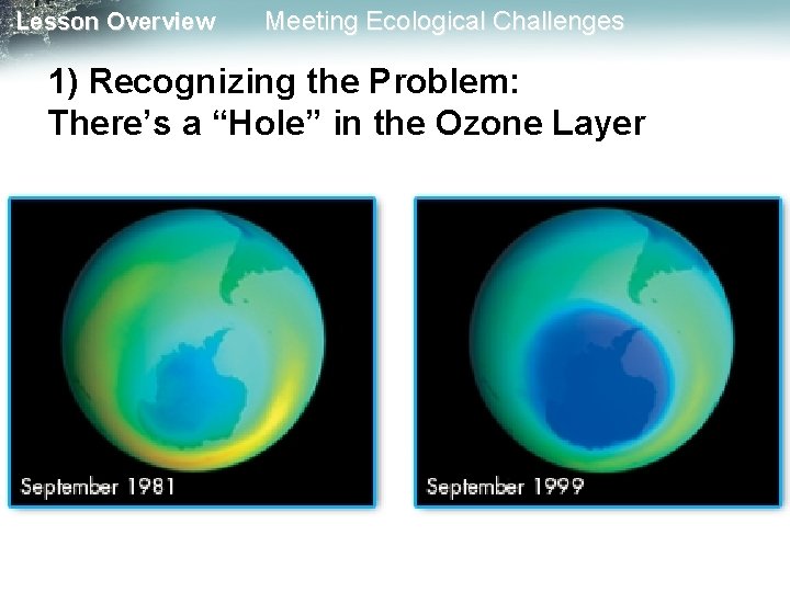 Lesson Overview Meeting Ecological Challenges 1) Recognizing the Problem: There’s a “Hole” in the Lesson Overview Meeting Ecological Challenges 1) Recognizing the Problem: There’s a “Hole” in the